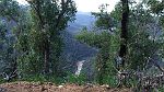 11-Magical views of the Macalister River from Burgoynes Track